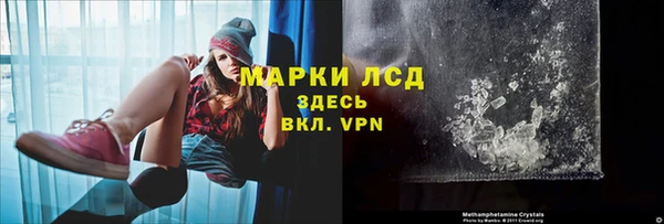 ГАЛЛЮЦИНОГЕННЫЕ ГРИБЫ Алзамай