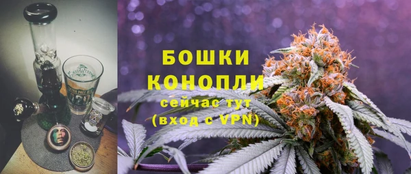ПСИЛОЦИБИНОВЫЕ ГРИБЫ Абдулино