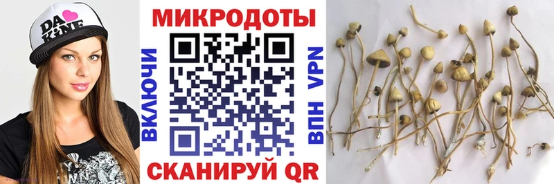 Галлюциногенные грибы ЛСД  что такое   Котовск 